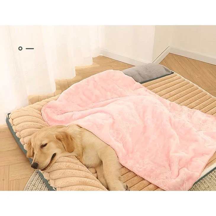 O1CN01a8nbxY24NdM6FiI0h_!!704407379(001)